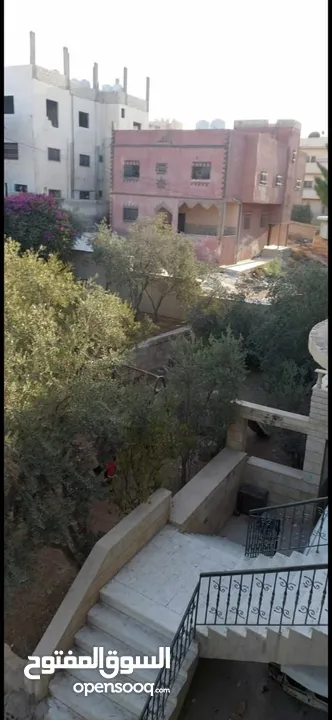 عمارة في حي القادسية للبيع موقع ممتاز وحيوي
