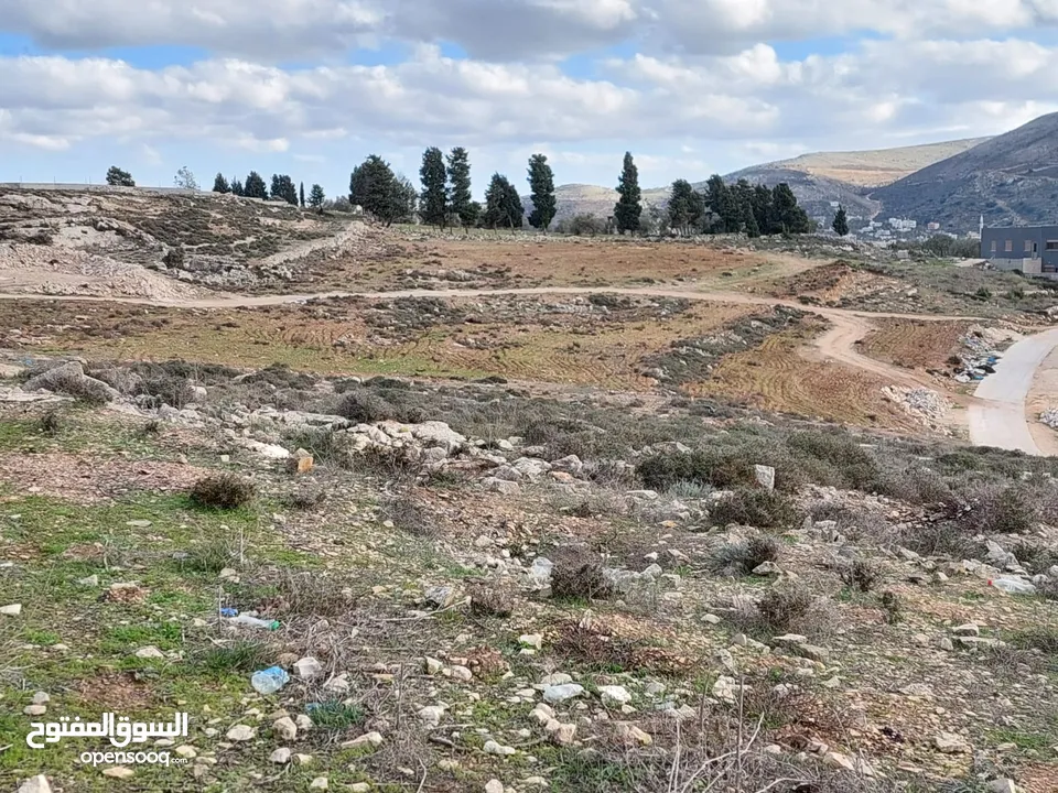 نمرة ارض للبيع في اجمل منطقة في نابلس عصيرة الشمالية ذات اطلالة رائعة على مدينة نابلس
