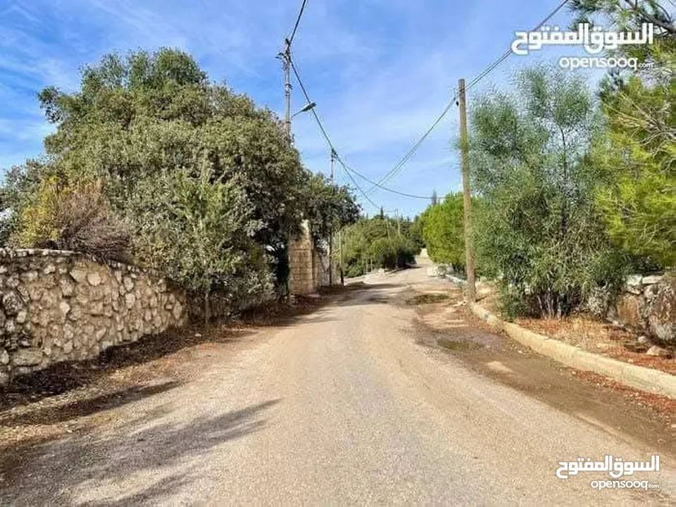 شقه ارضيه للأيجار في اجمل مناطق دابوق قرب بيت الزيارة الرهبات الورديه مساحه 240m وحديقة 300m