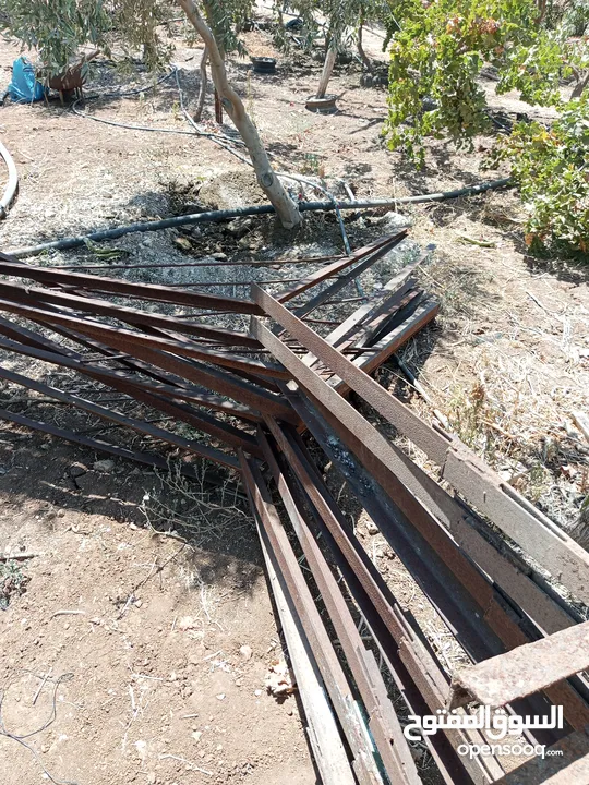 زوايا V للعنب