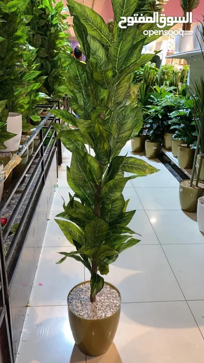 Artificial Plants Available For Sale
