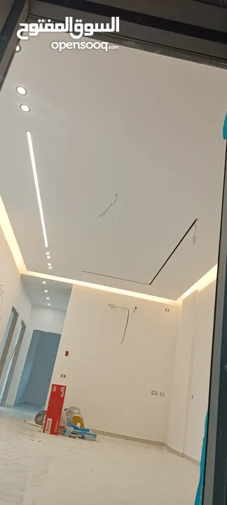 فني جبصين ودهان