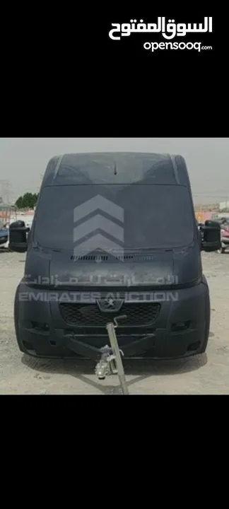 عربة خيل في دبي
