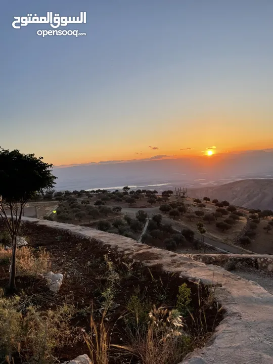 مزرعة في مغاريب السلط من المالك مباشرة