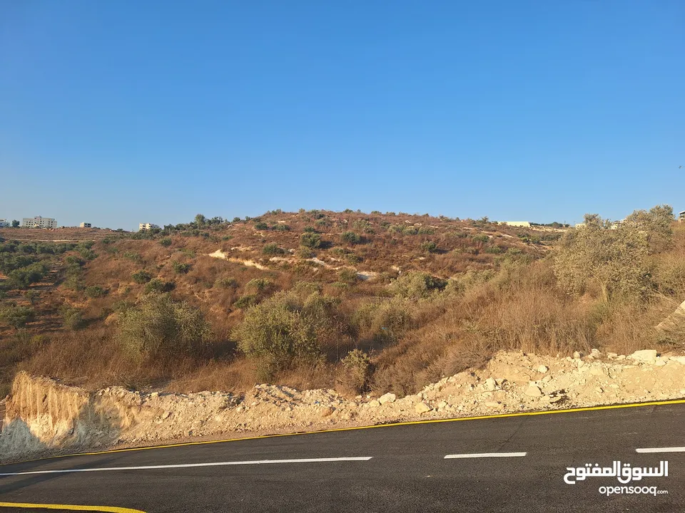 اراضي استثمارية محيط مدينة نابلس