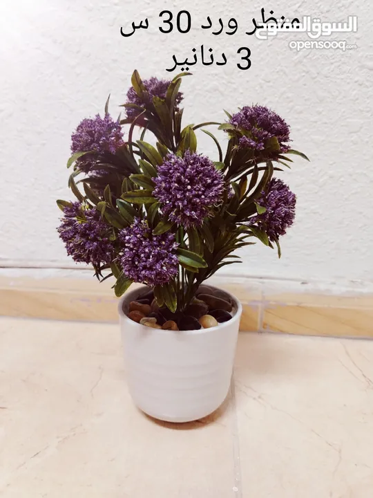 فازات مناظر مراي