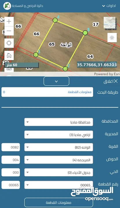 أراضي مميزة مفروزة 4 دونمات للبيع في محافطة مادبا/الهلالية بالقرب من الجامعة الأمريكية بمقابل القطعة