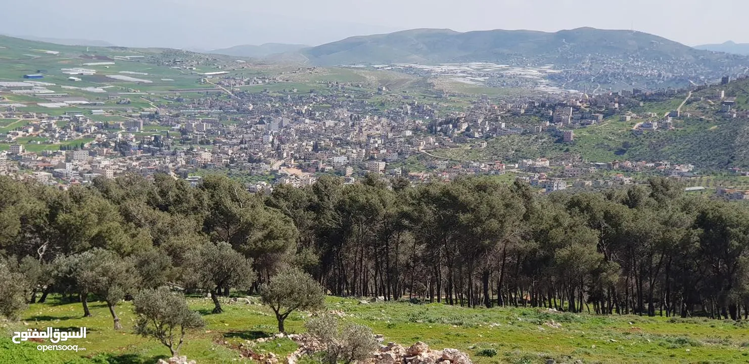 فيلا فاخرة على أرض 2000م تصنيف أ A, طابو – زاوية شارعين + مجلس ضيوف مستقل في طوباس