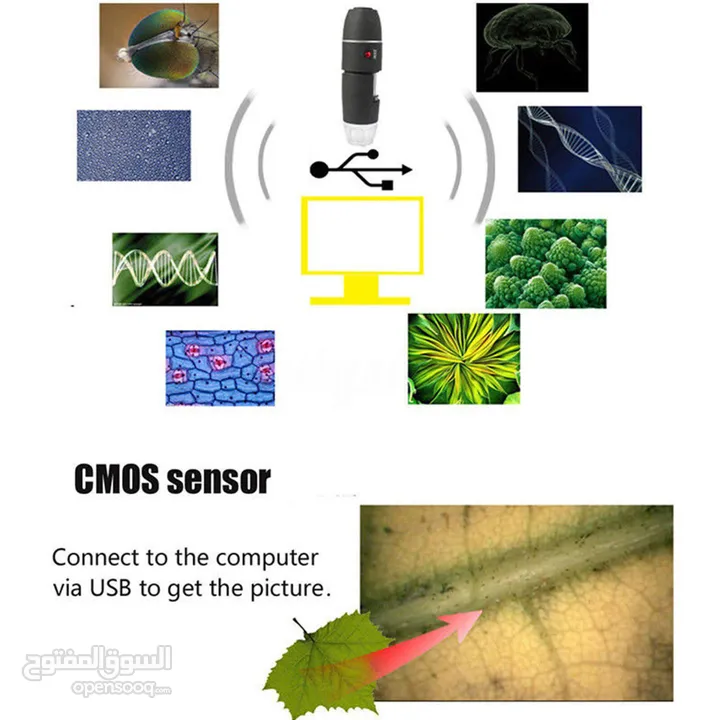 1600X Zoom 8 LED USB Microscope Digital Magnifier Endoscope Camera Video Stand - 50 JD