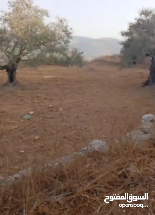 قطعة لرض للبيع