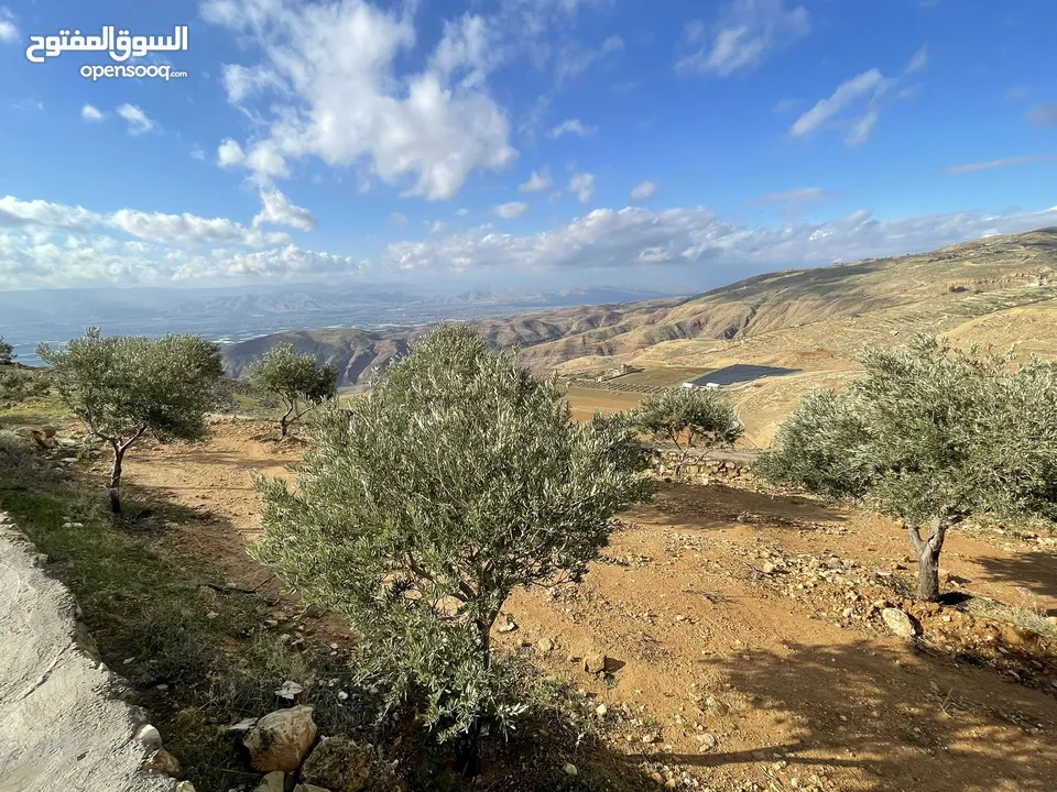 ارض مزرعة للبيع في مغاريب السلط من المالك مباشرة