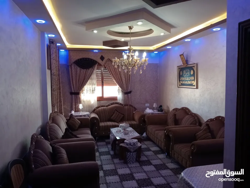 محمود ابو حيدر