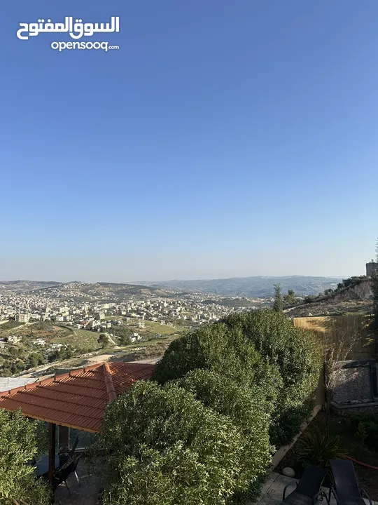 مزرعه النجوم