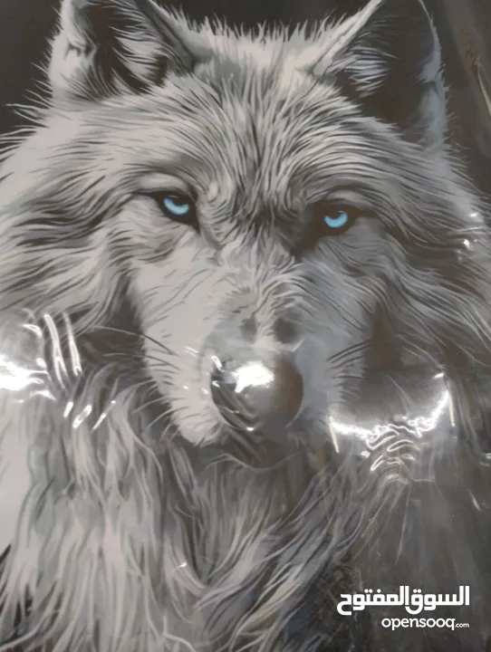 ملصقات لباب السيارات