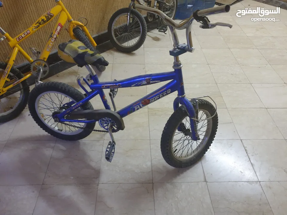 Cobra Kids Bikes