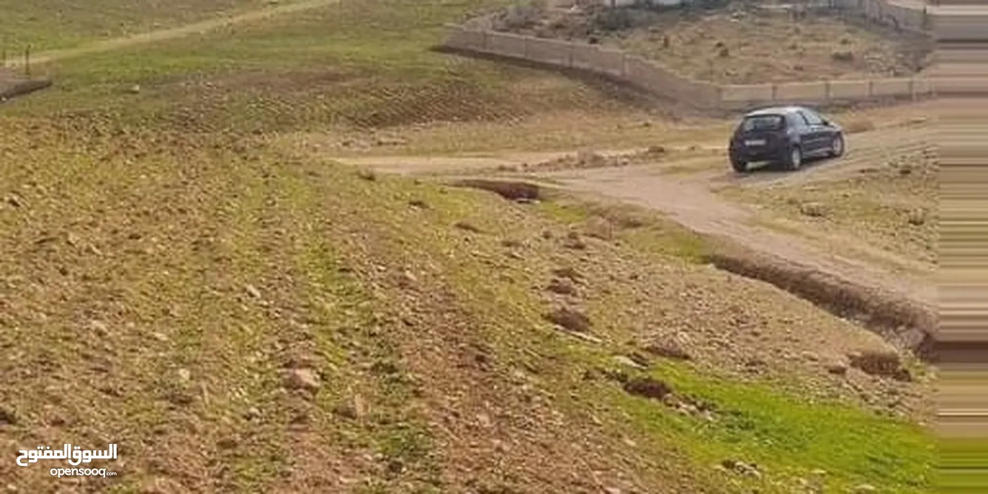 جريبا قرب شفابدران تقسيط نصف الثمن