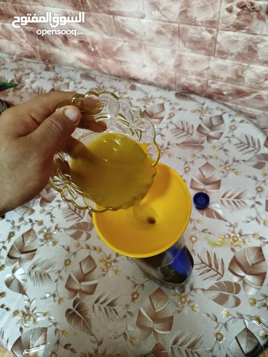 زيت زيتون جديد 2025، زيتون ترمسعيا