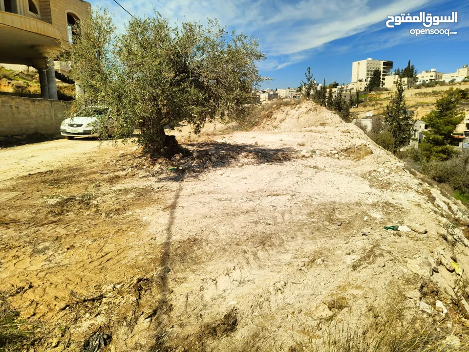 أرض للبيع ، بيت ساحور طابو تصنيف أ