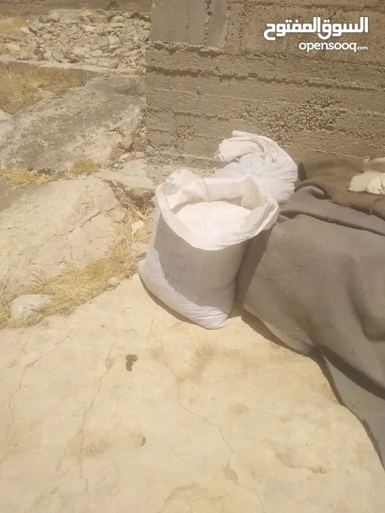 زبل غنم سماد للحدائق والاشجار نصف دينار
