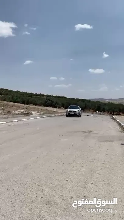 سيرنتوا 2019 ولا غرام بوية