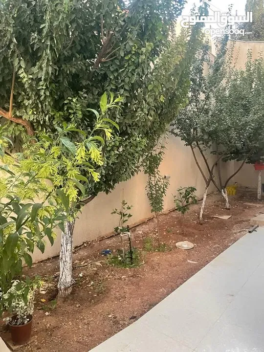 للبيع 200لف