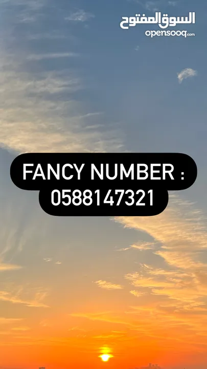 Fancy number