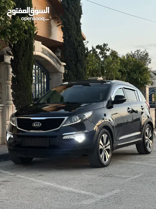 احمد سامي سليط