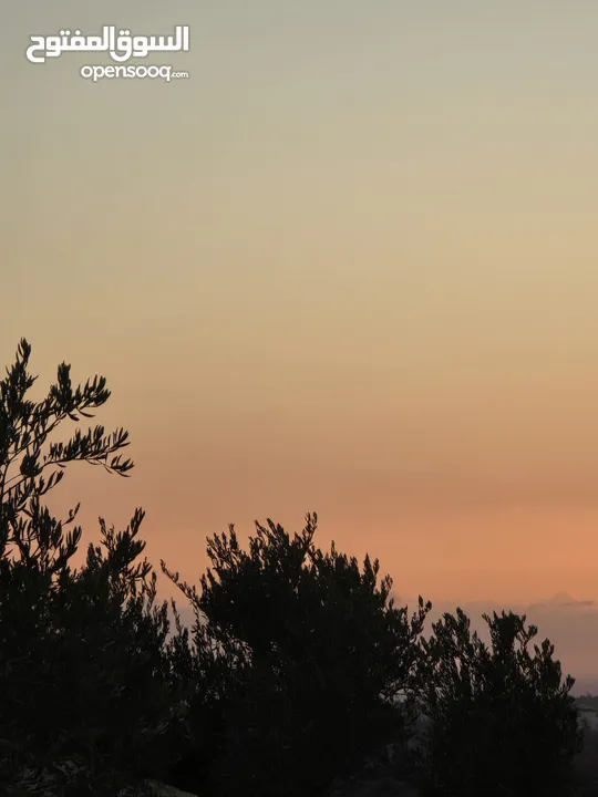 بيت عظم يقع ع قطعه ارض مساحه 640 متر كوشان طابو سكن الف داخل المخطط الهيكلي اطلاله غربيه