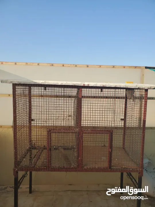 Heavy steel  big cage for sale