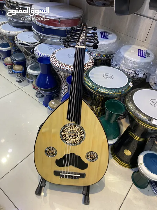 عود أحمد عبد الحليم أكولايزر