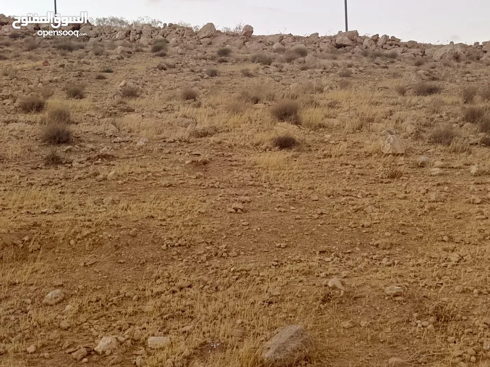 قطعة ارض مميزة جدا في ضاحية المدينة