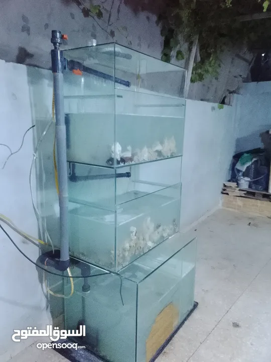 حوض سمك مع كامل معدادو