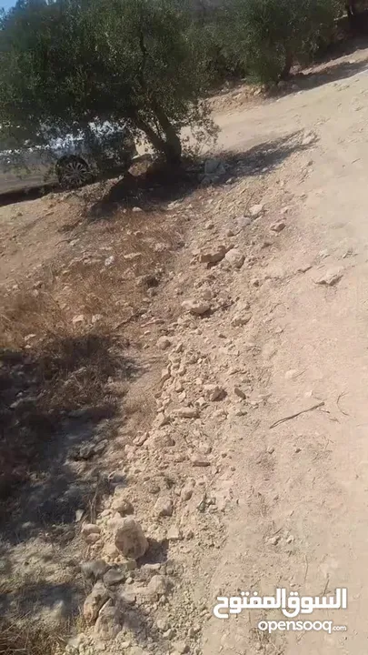 قطعة ارض للبيع الخليل حلحول ارنبه 345 متر
