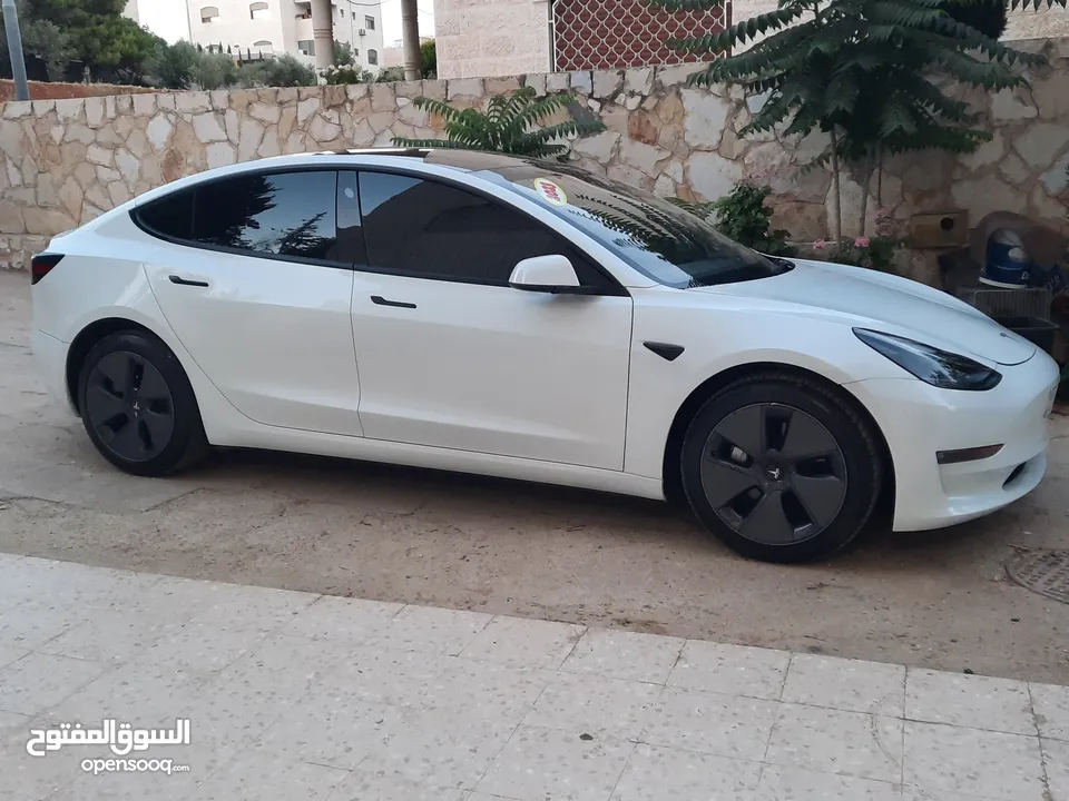 تسلا مودل 3 مع الرقم أو بدون