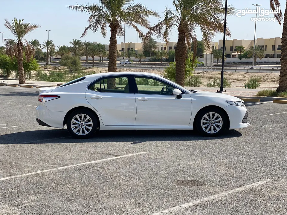 Toyota Camry LE 2019 (White)