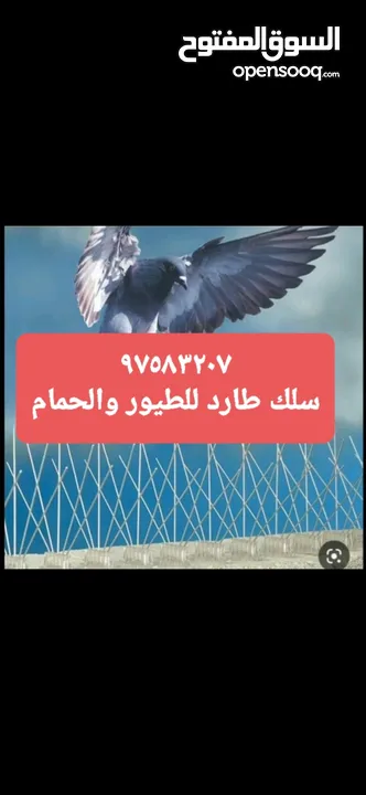 شبك طارد للطيور والحمام