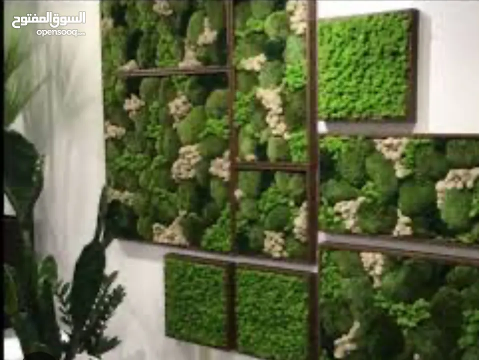 Moss walls for houses and office + Gallery 1 art work