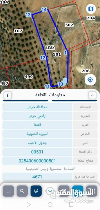 ارض للبيع مفروزة بقوشان مستقل  مزروعه زيتون واصلها شارع مرسوم
