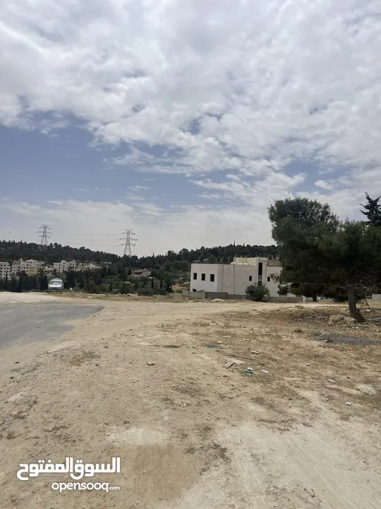 من المالك ،جنوب عمان نافع قرب السوق المركزي + اللبن 640 قرب شارع المية  .