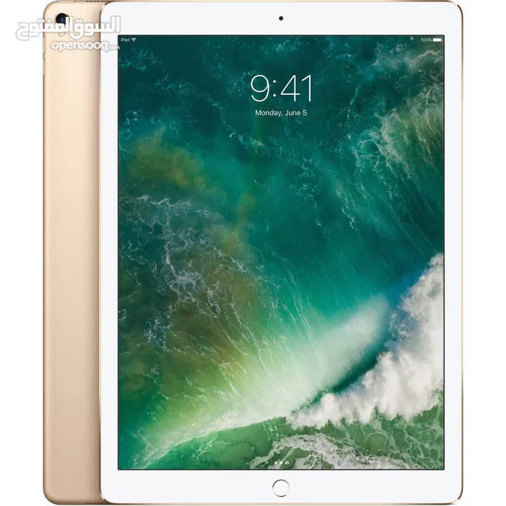 iPad Pro gen 2 2017 512G Gold