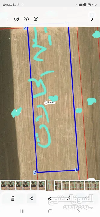 حوض 24 بين الحارات الحصن مساحة القطعه 12496 م2 شماليه شارع 12م واجهة 62 م قرب المزارع والخدمات  والا