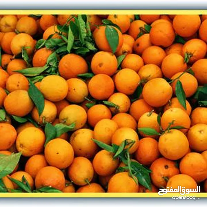 Mandrine Pakistan whole sale price 1 box 9 kg