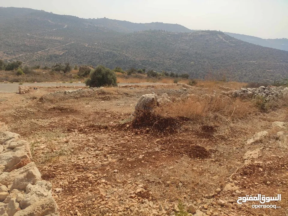 قطعة أرض للبيع في مزارع النوباني تصنيف أ