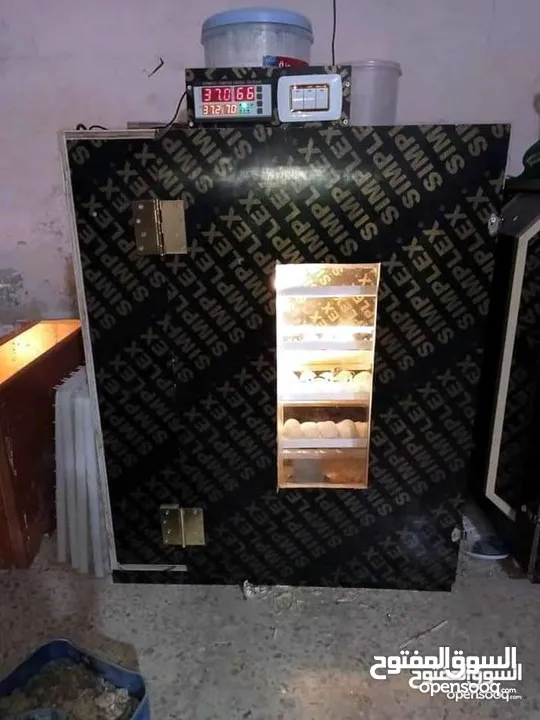 فقاسات العوضي تصنيع جميع احجام الفقاسات بجوده عاليه وانتاجيه عاليه ..الاحجام والاسعار بلوصف ادناه
