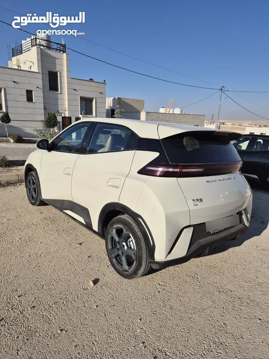 BYD SEAGULL 305km