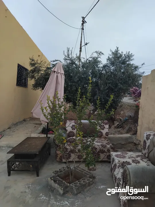 بيت للبيع في قريه دليله المطيرات شرق مادبا