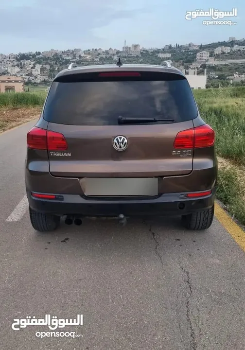 تيجوان 2013