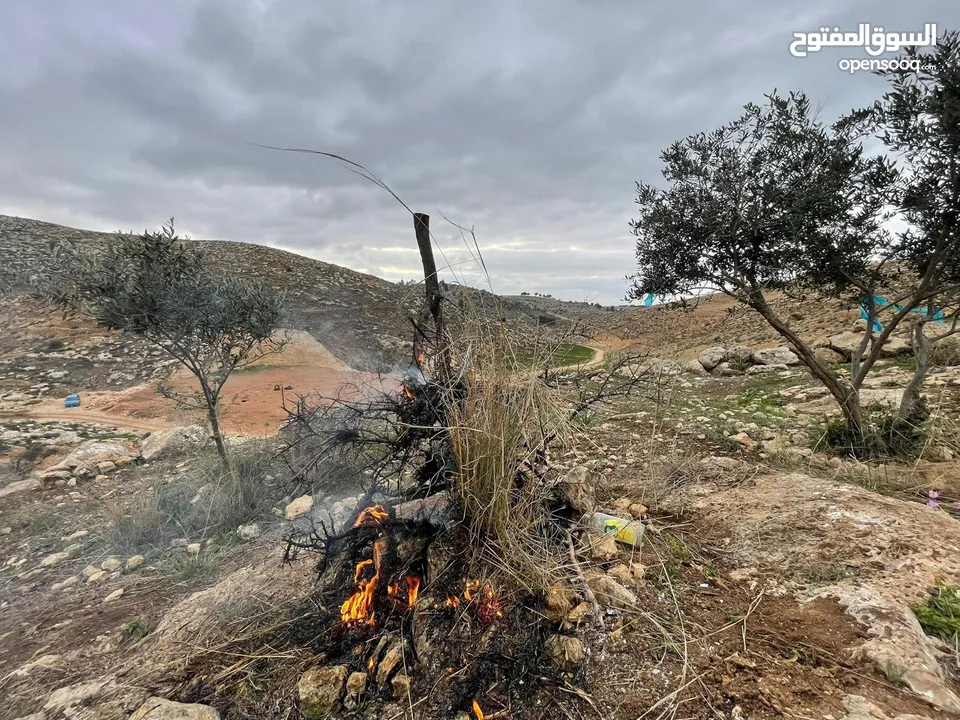 ارض بسعر مغري
