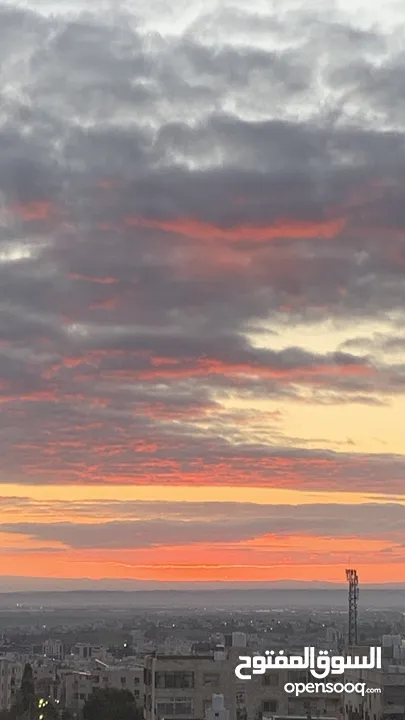 iPhone  XR