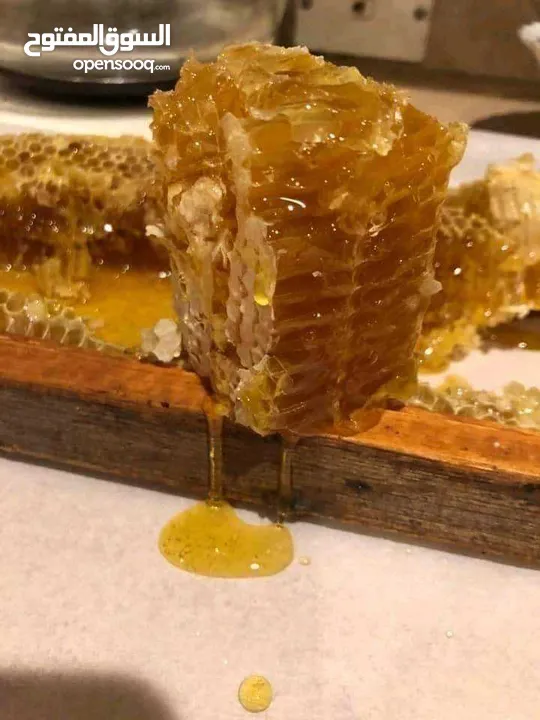 عسل .. عسل حبوب لقاح